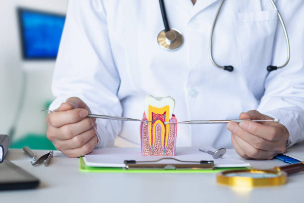 Best Emergency Treatment for Toothache in Essex, IL